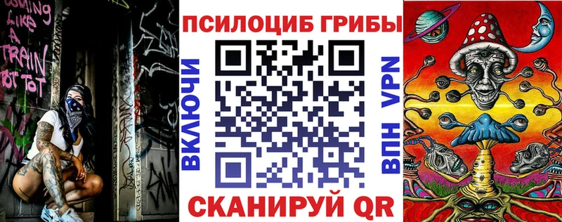 ОМГ ОМГ рабочий сайт  купить закладку  Вельск  Псилоцибиновые грибы Psilocybine cubensis 